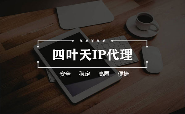 【呼伦贝尔代理IP】如何快速搭建代理IP？怎么检查代理的效果？